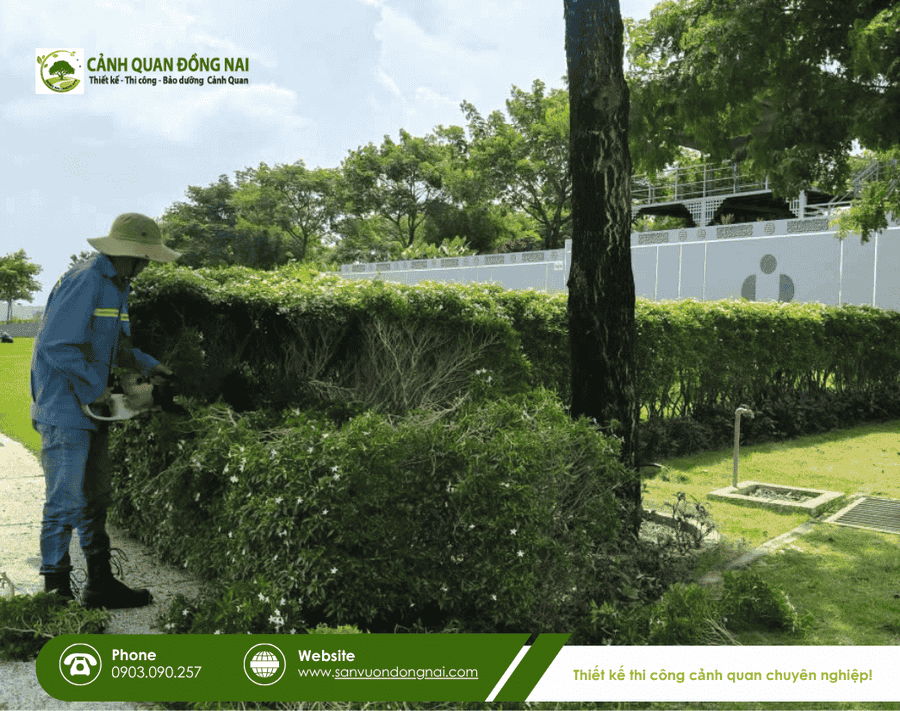 dich-vu-cham-soc-cay-xanh-dinh-ky (12)