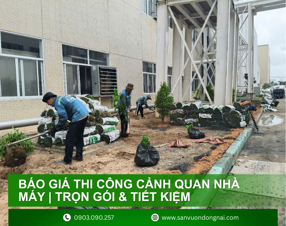 bao-gia-thi-cong-san-vuon-nha-may-2-1