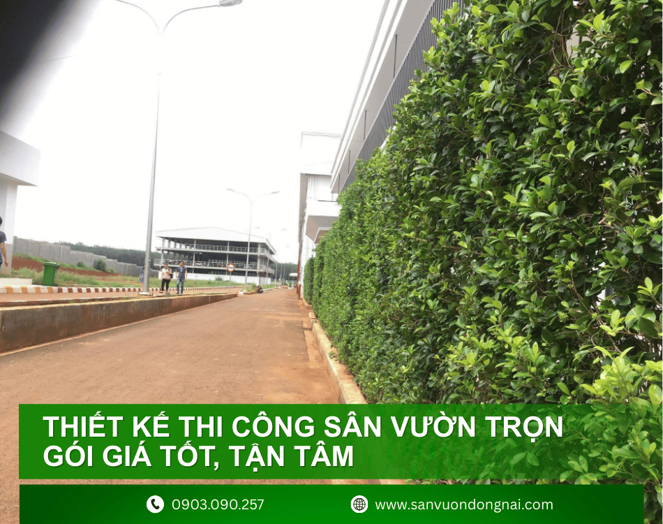 bao-gia-thi-cong-san-vuon-nha-may-5