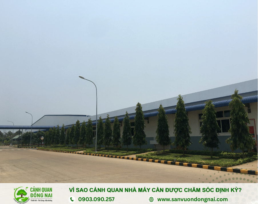 bao-duong-cham-soc-dinh-ky-canh-quan-nha-may bao-duong-cham-soc-dinh-ky-canh-quan-nha-may