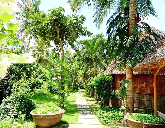Cảnh quan farm du lịch 2