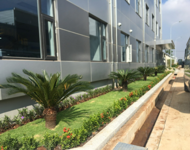 Thiết kế thi công trồng cây xanh khu công nghiệp tại Tây Ninh