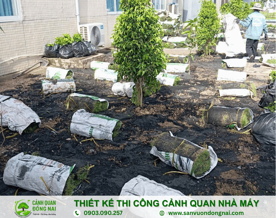canh-quan nha-may (21)