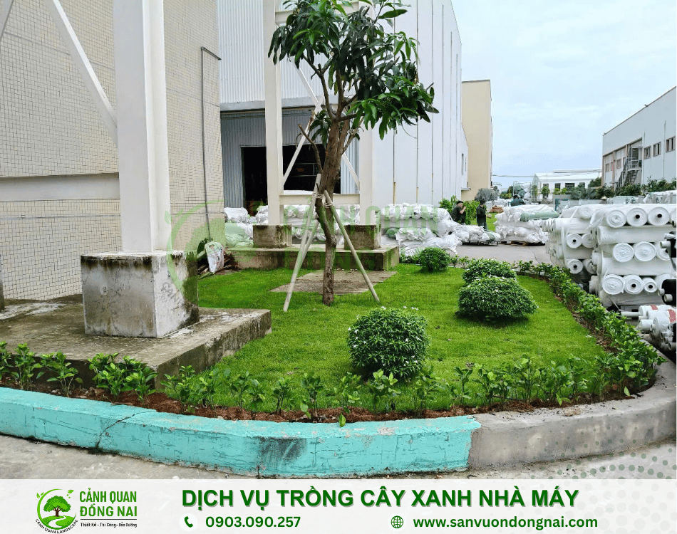 dich-vu-trong-cay-xanh-nha-may (7)