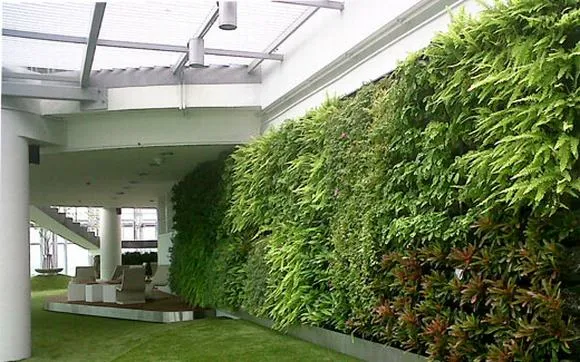 thi-cong-vuon-tuong-dung-biet-thu