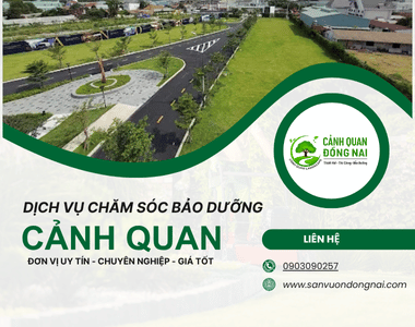 Chăm sóc bảo dưỡng cảnh quan nhà máy