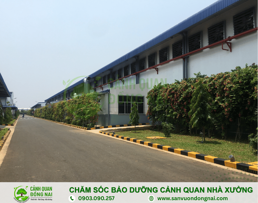 cham-soc-bao-duong-canh-quan-nha-xuong cham-soc-bao-duong-canh-quan-nha-xuong