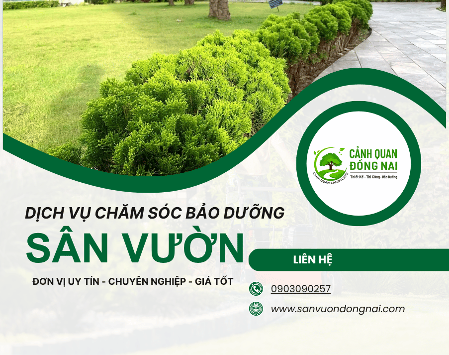 Chăm sóc bảo dưỡng sân vườn 1