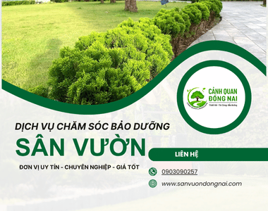 Chăm Sóc Bảo Dưỡng Sân Vườn