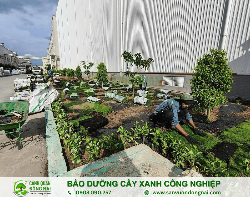 bao-duong-cay-xanh-cong-nghiep bao-duong-cay-xanh-cong-nghiep2