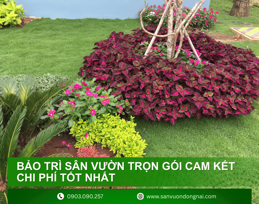 bao-tri-san-vuon-tron-goi-10