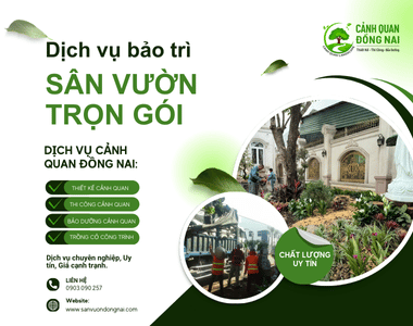 Bảo trì sân vườn trọn gói cam kết chi phí tốt nhất