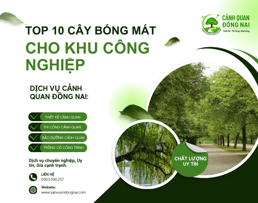 cay-xanh-bong-mat-duoc-ua-chuong-nhat-cho-khu-cong-nghiep