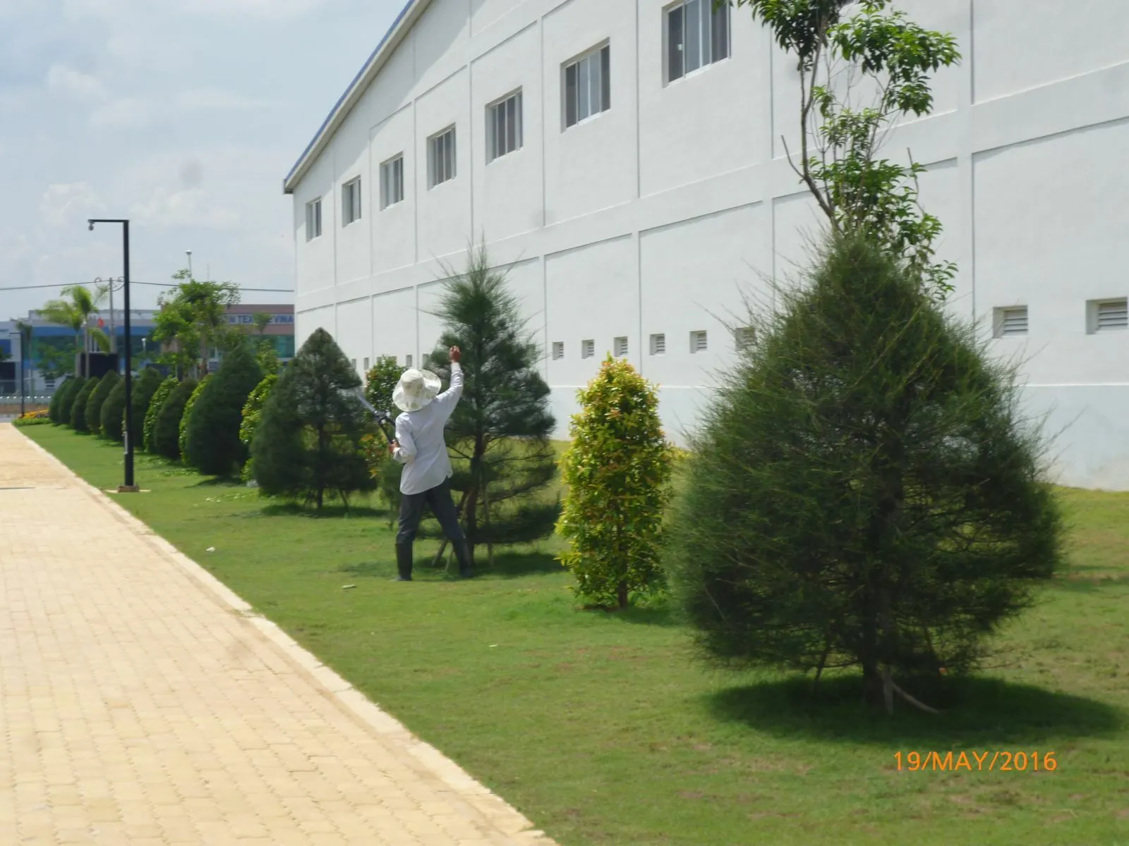 Chăm sóc bảo dưỡng cảnh quan công ty 2