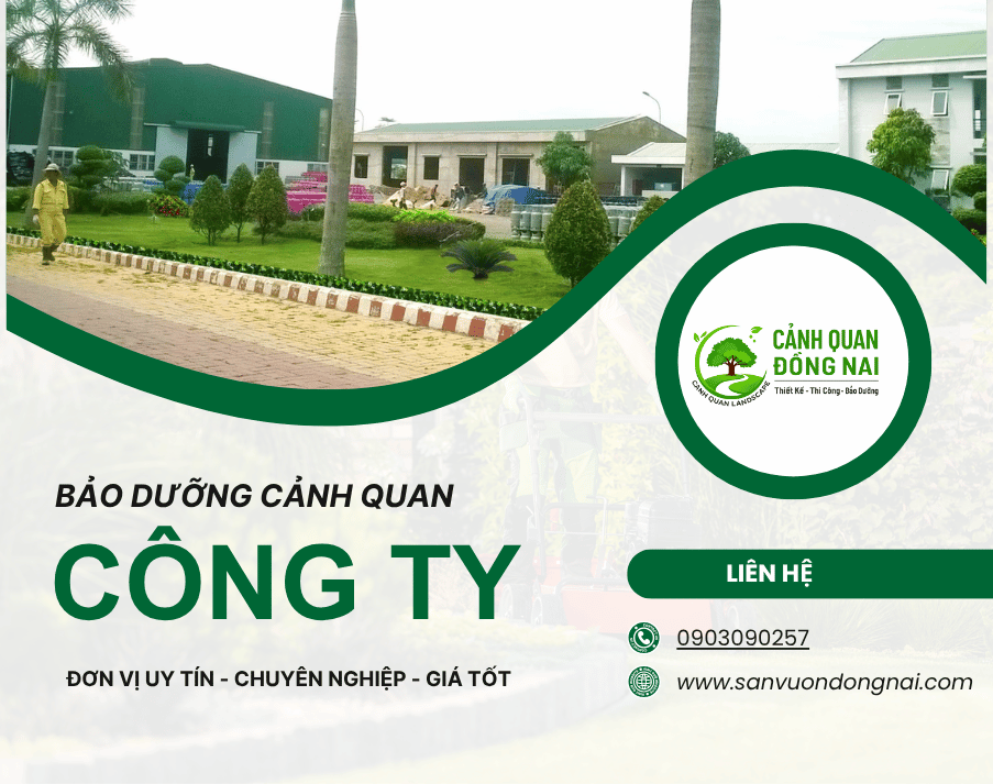 Chăm sóc bảo dưỡng cảnh quan công ty