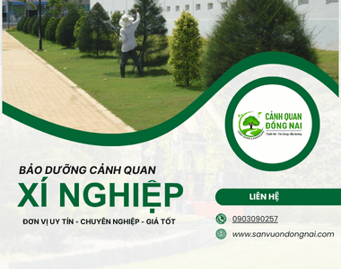 Chăm sóc bảo dưỡng cảnh quan xí nghiệp