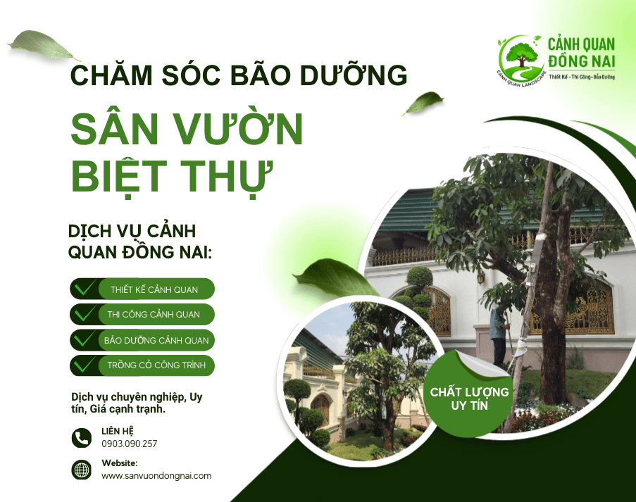 cham-soc-bao-duong-san-vuon-biet-thu-1
