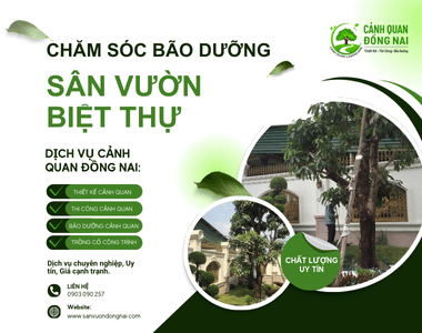 Chăm sóc bảo dưỡng sân vườn biệt thự