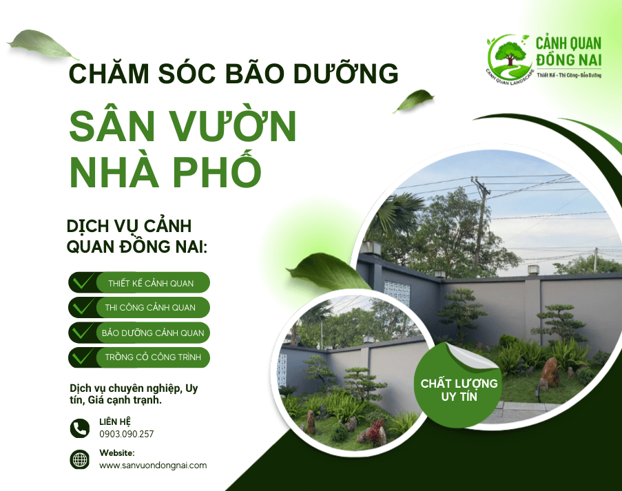 cham-soc-bao-duong-san-vuon-nha-pho1