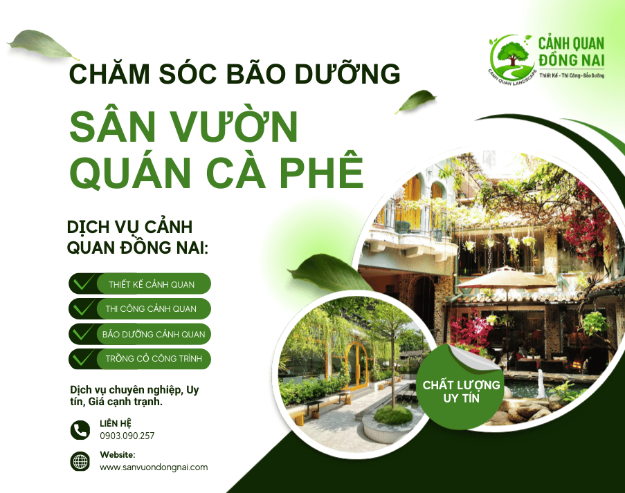 cham-soc-bao-duong-san-vuon-quan-cafe-1