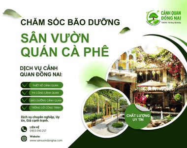 Chăm sóc bảo dưỡng sân vườn quán cafe