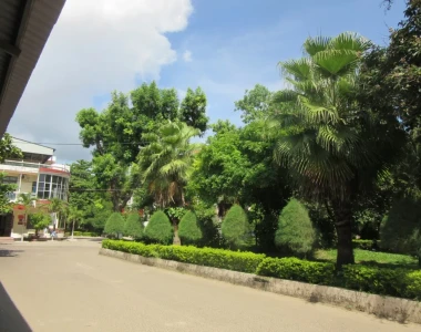Dịch vụ bảo trì cảnh quan sân vườn