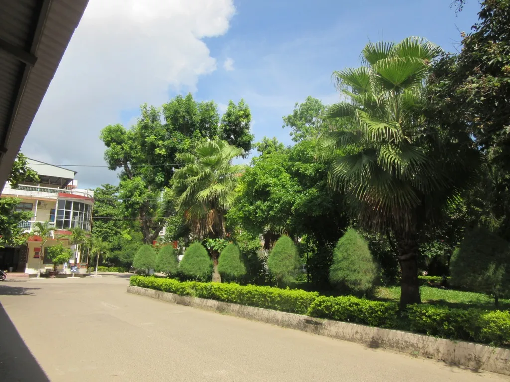 cham soc cay canh benh vien