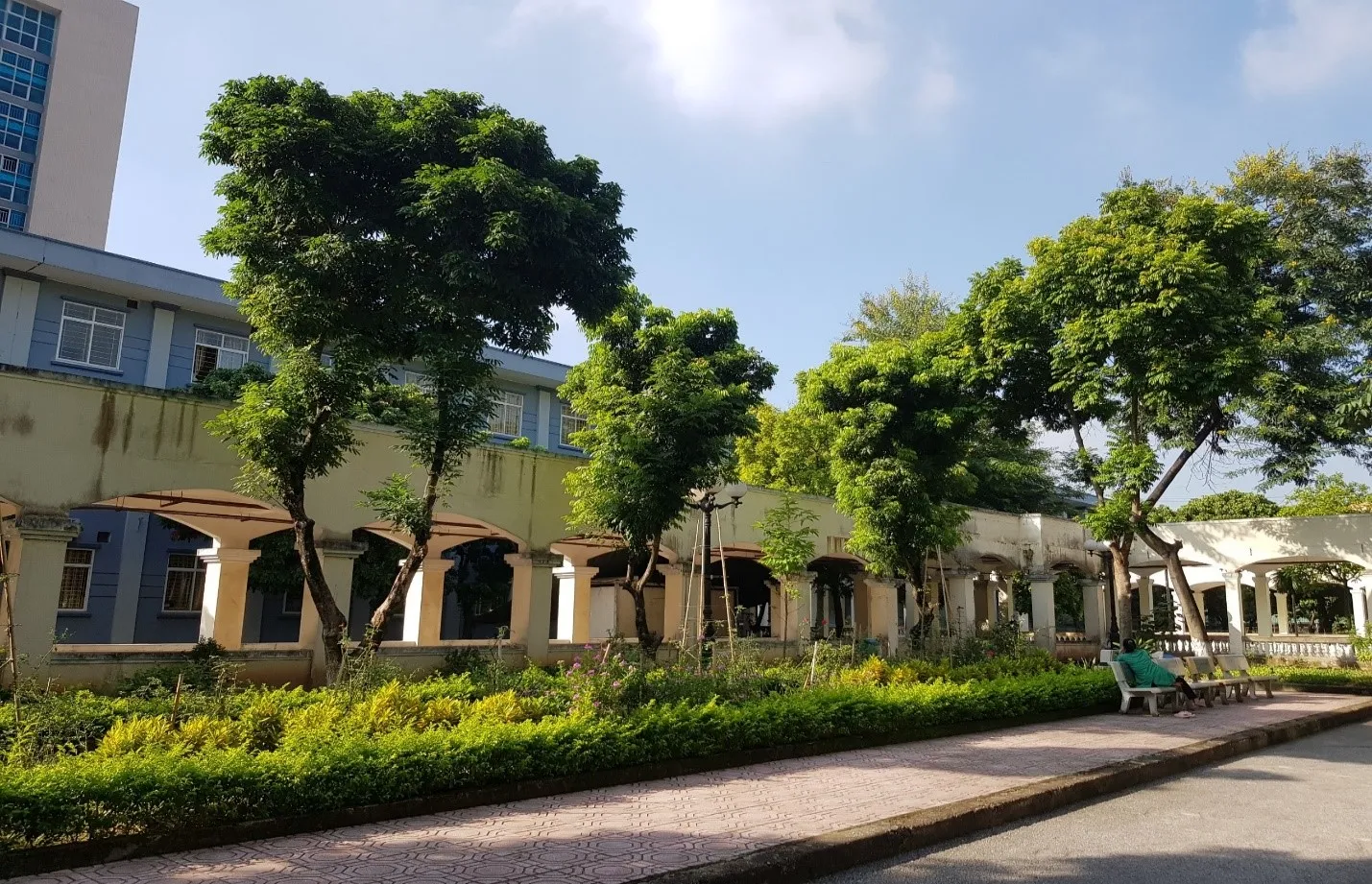cham soc cay xanh loi di