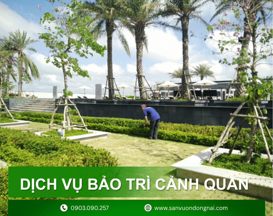 Dịch vụ bảo trì cảnh quan 1