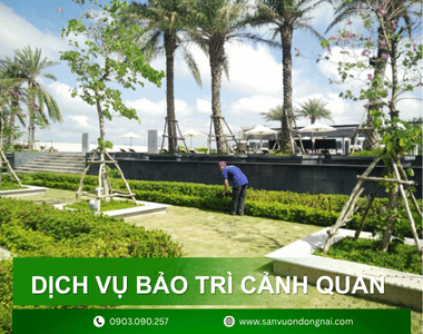 Dịch vụ bảo trì cảnh quan