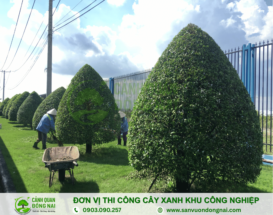 don-vi-thi-cong-cay-xanh-khu-cong-nghiep2