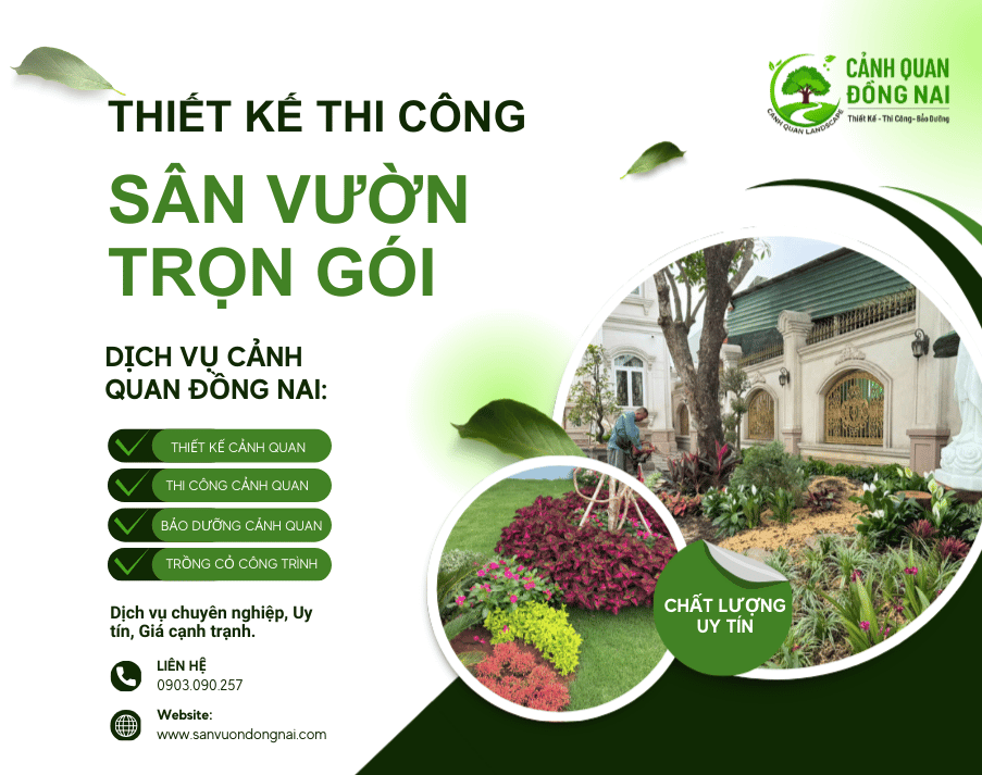 thiet-ke-thi-cong-san-vuon-1