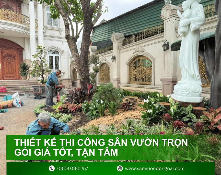 thiet-ke-thi-cong-san-vuon-3