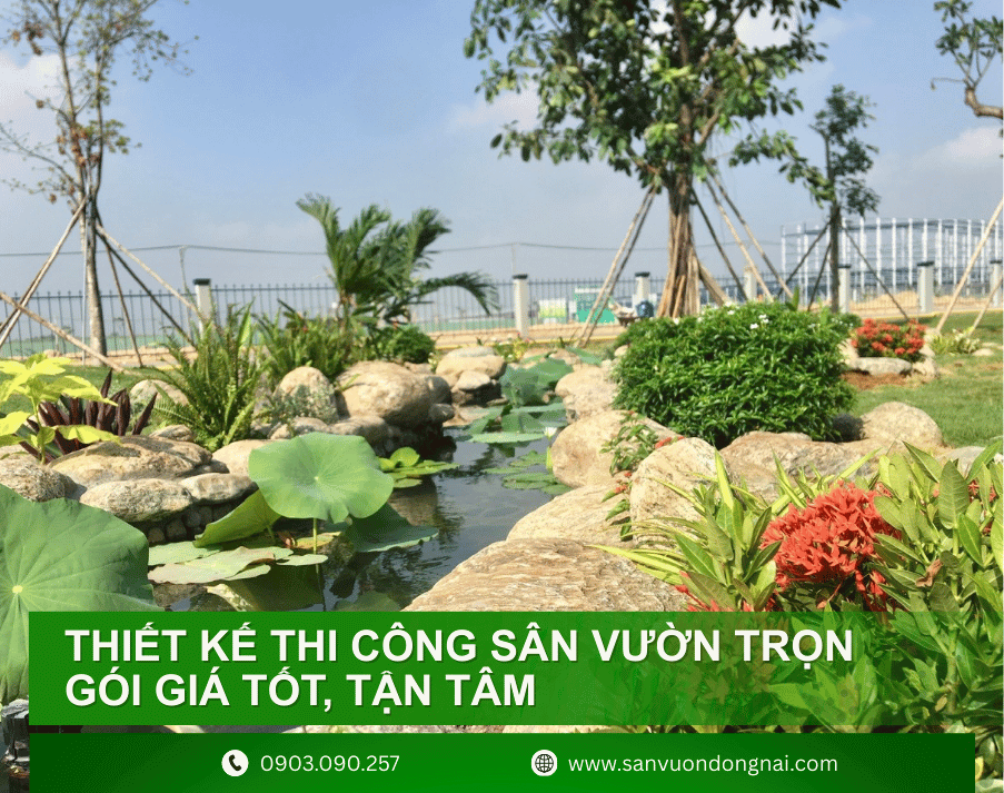 thiet-ke-thi-cong-san-vuon-5