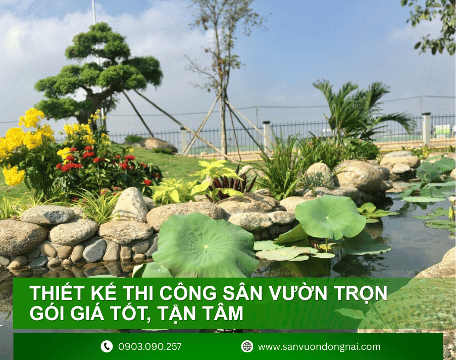 thiet-ke-thi-cong-san-vuon-6
