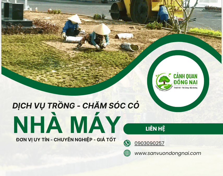 Trồng thảm cỏ cho nhà máy 1