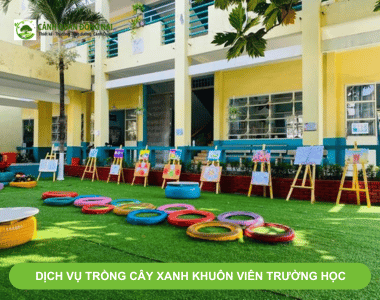 Dịch vụ trồng cây xanh trang trí khuôn viên trường học