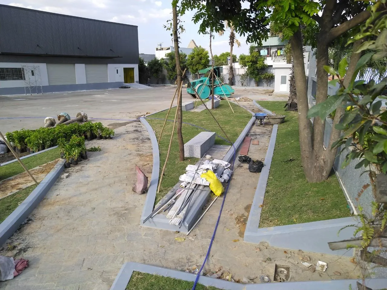 Dịch vụ trồng cây xanh trường học