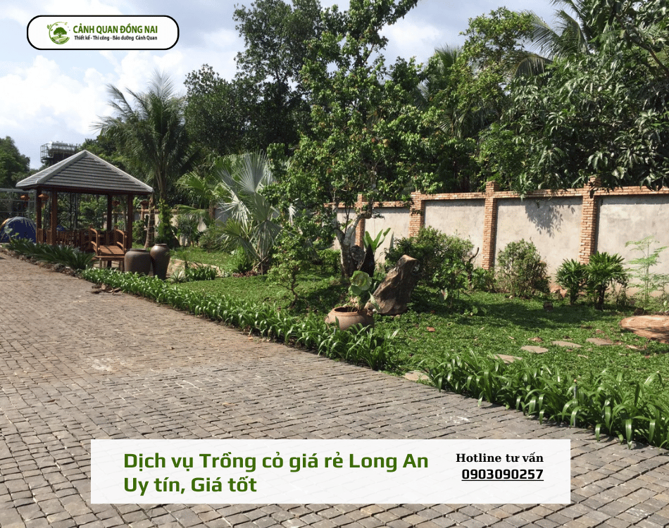 dich-vu-trong-co-gia-re-long-an 17