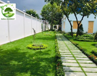 Quy trình thi công trồng cỏ chuyên nghiệp tại Cảnh Quan Đồng Nai