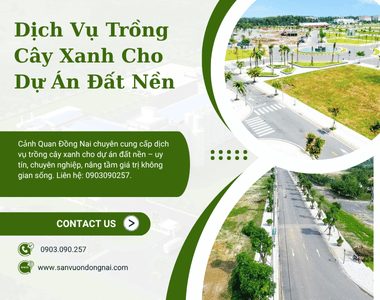 Dịch Vụ Trồng Cây Xanh Cho Dự Án Đất Nền