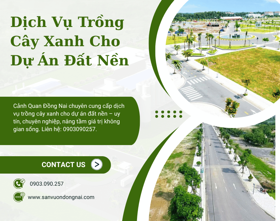 Dịch Vụ Trồng Cây Xanh Cho Dự Án Đất Nền-1