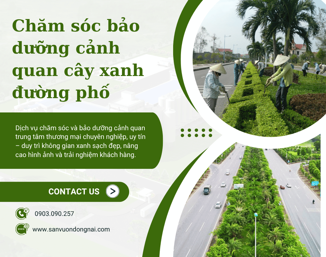 canh quan tttm