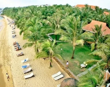 Dịch vụ trồng cỏ khu nghỉ mát