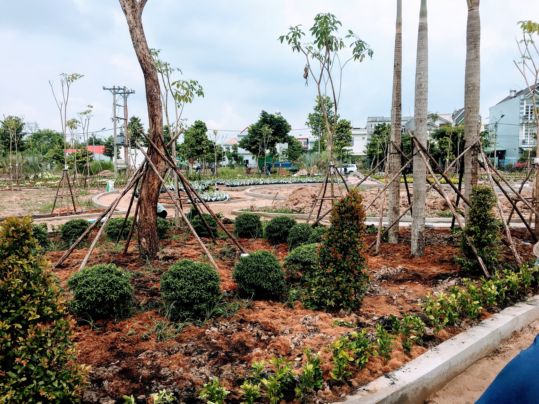 thi-cong-cay-xanh-cong-trinh