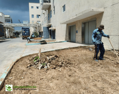Thiết kế bố trí cây trồng khu công nghiệp tại Long An