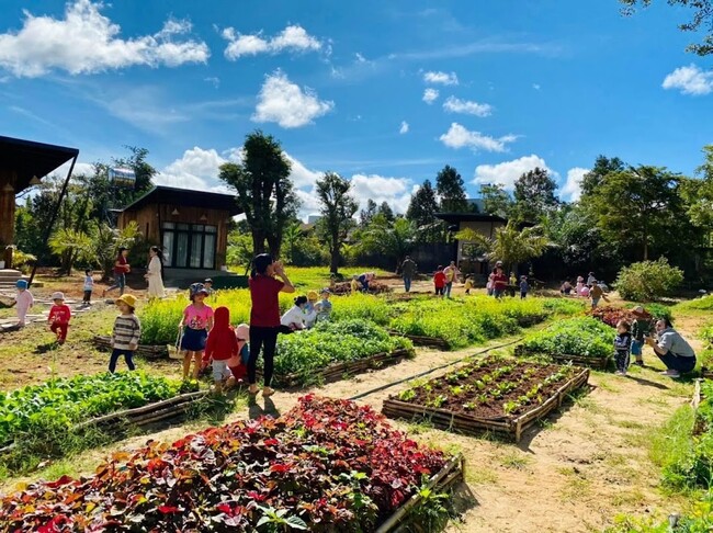 Thiết kế thi công cảnh quan nông trại – farm 1