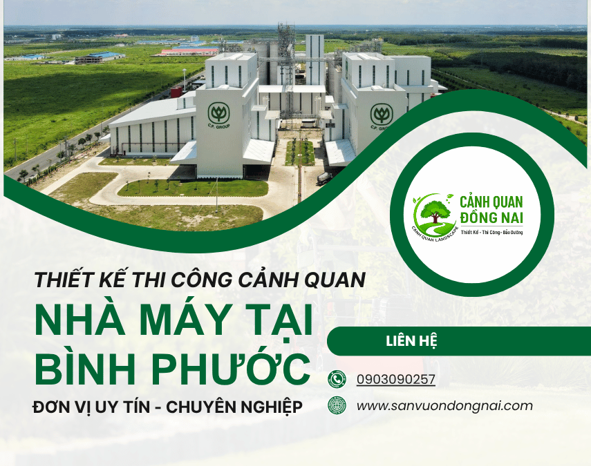 Thiết kế và thi công cảnh quan nhà máy tại Bình Phước 1
