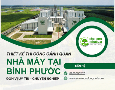 Thiết kế và thi công cảnh quan nhà máy tại Bình Phước