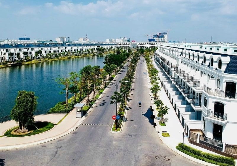 trong cay du an khu biet thu